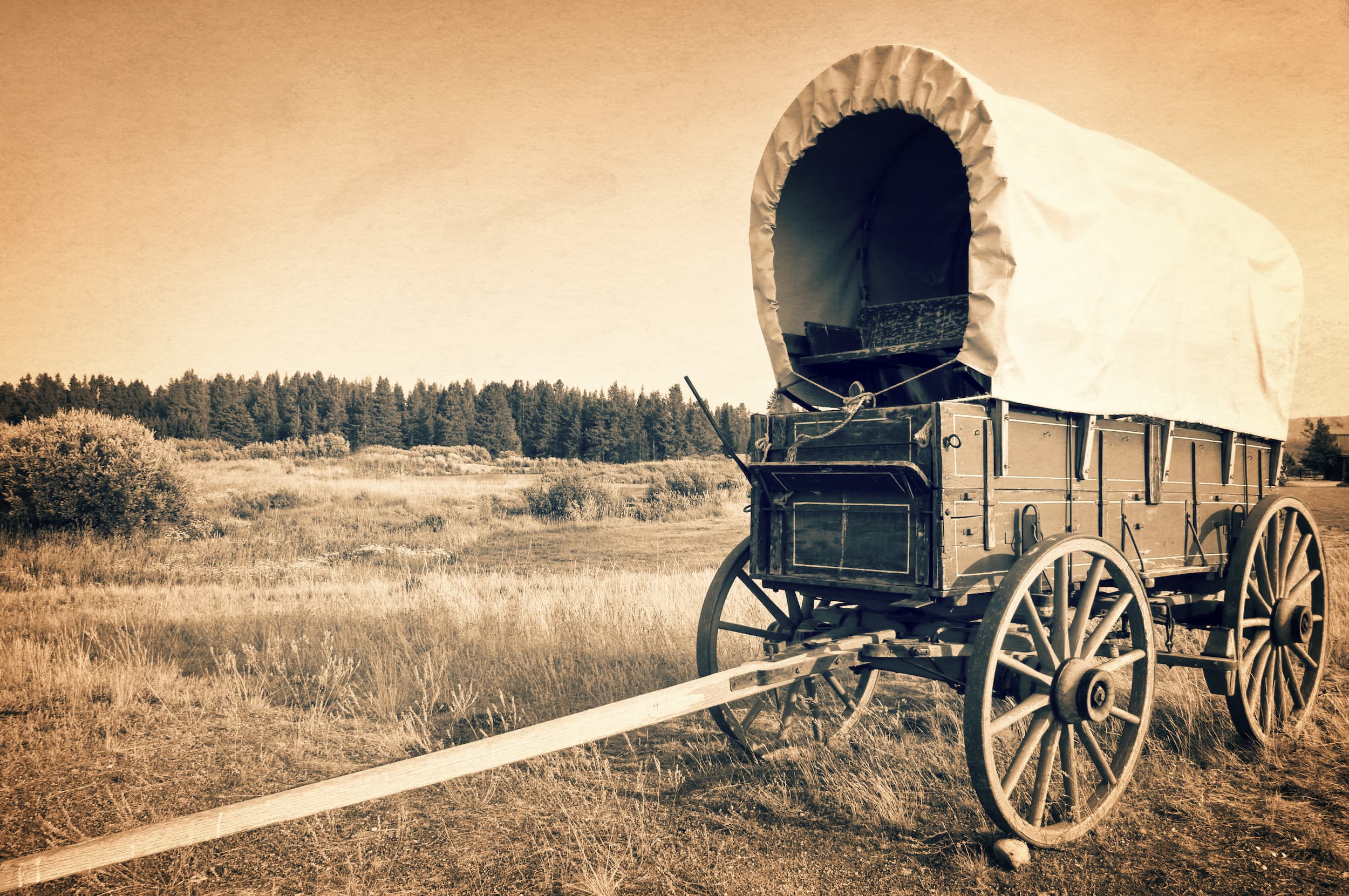The "Land Rush" of the 21st Century Barnes Real Estate Blog